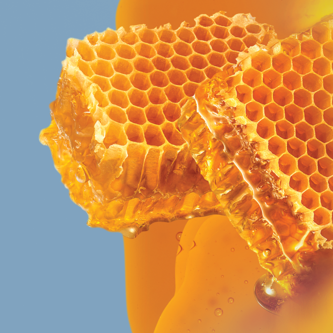 Honey comb