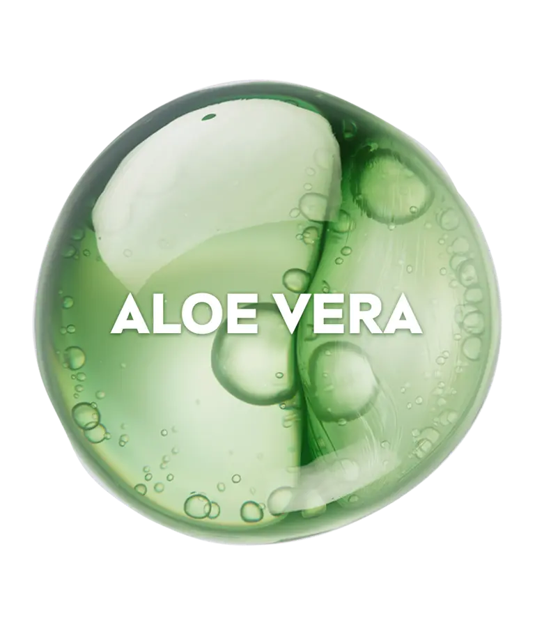 A green dimension representing Aloe Vera.
