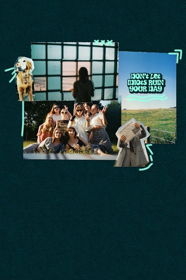 Collage aus Bildern eine Hundes, ein Mensch vor einer TV Wand, ein Gruppenfoto und ein Spruch 'Don't let Idiots ruin your day'